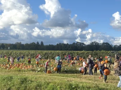 Chautauqua Lake fourth graders celebrate fall with Ripley students